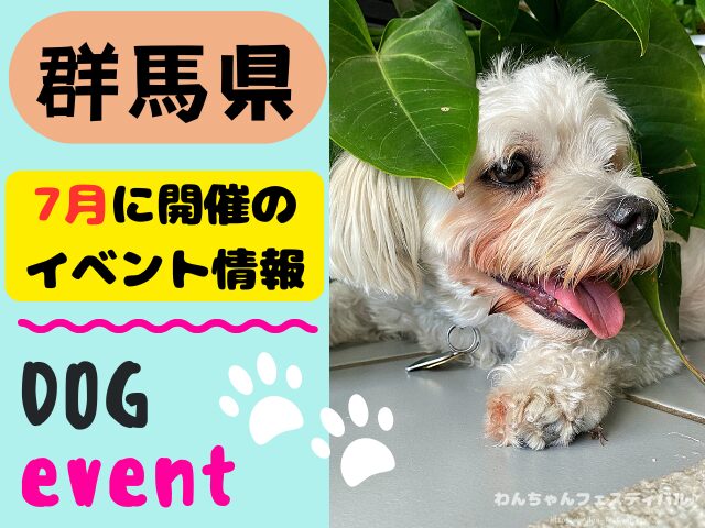 犬イベント 関東 東京 千葉 埼玉 神奈川 群馬 栃木 茨城 2025年 7月