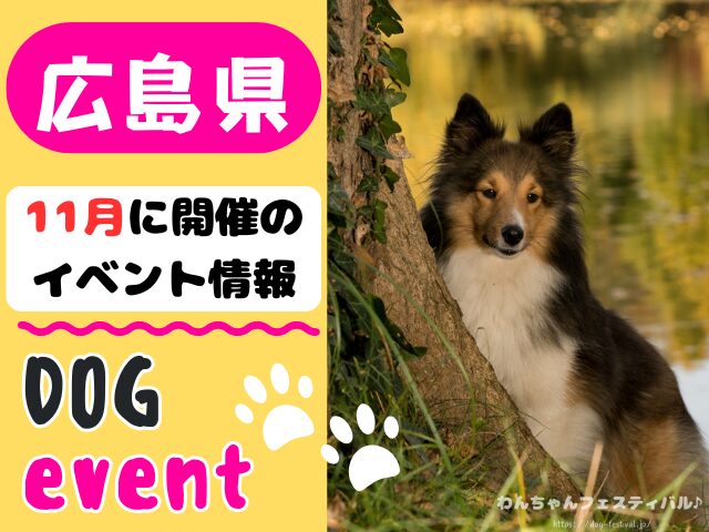 犬イベント　中国地方　岡山県　広島県　山口県　鳥取県　島根県　2025年　11月