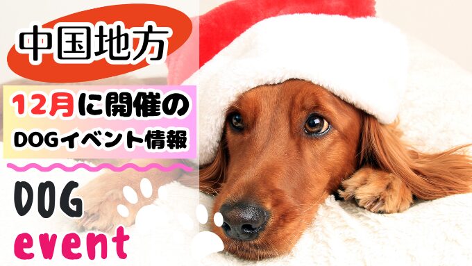 中国地方 犬イベント 一覧 開催場所 日程 2025年 12月