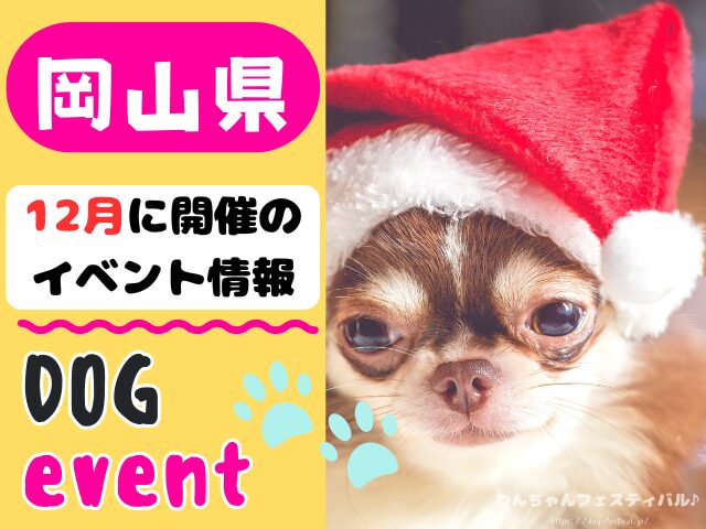 犬イベント 中国地方 岡山県 広島県 山口県 鳥取県 島根県 2025年 12月