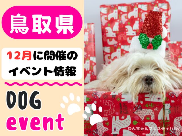 犬イベント 中国地方 岡山県 広島県 山口県 鳥取県 島根県 2025年 12月