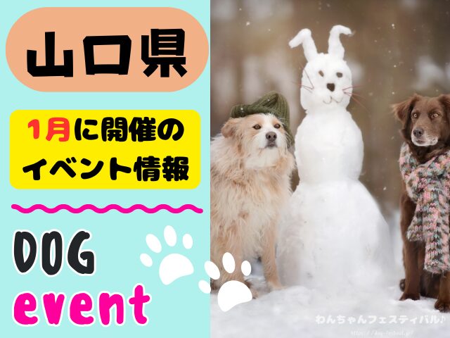犬イベント 中国地方 岡山県 広島県 山口県 鳥取県 島根県 2026年 1月