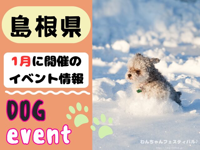 犬イベント 中国地方 岡山県 広島県 山口県 鳥取県 島根県 2026年 1月