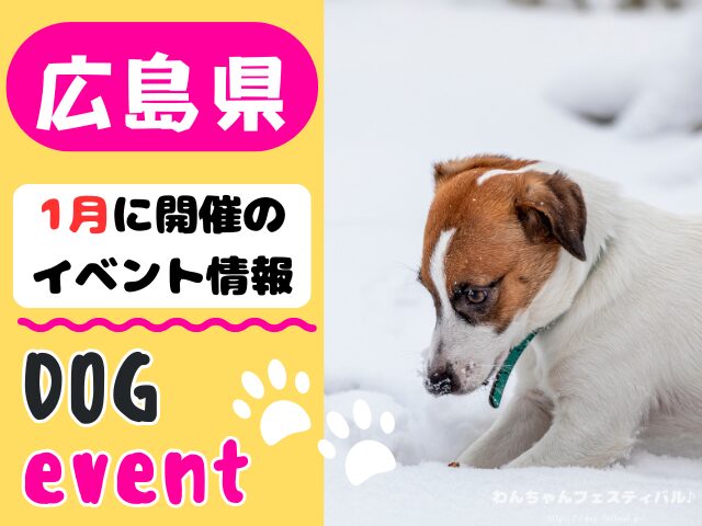 犬イベント 中国地方 岡山県 広島県 山口県 鳥取県 島根県 2026年 1月