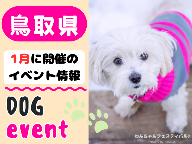 犬イベント 中国地方 岡山県 広島県 山口県 鳥取県 島根県 2026年 1月