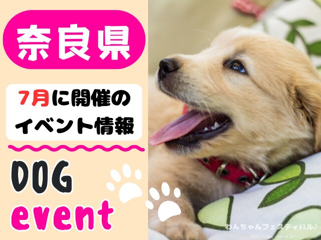 関西　犬イベント　一覧　開催場所　日程　2025　7月　大阪府　京都府　兵庫県　奈良県　滋賀県　和歌山県