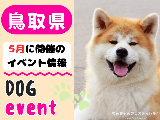 犬イベント　中国地方　岡山県　広島県　山口県　鳥取県　島根県　2026年　5月