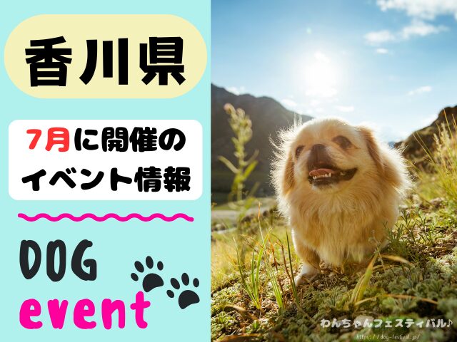 香川 犬イベント 7月