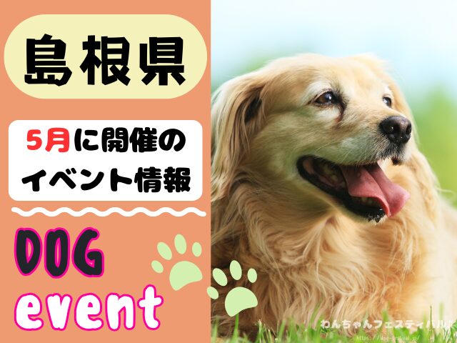 犬イベント　中国地方　岡山県　広島県　山口県　鳥取県　島根県　2026年　5月