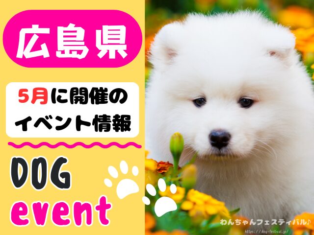 犬イベント　中国地方　岡山県　広島県　山口県　鳥取県　島根県　2026年　5月