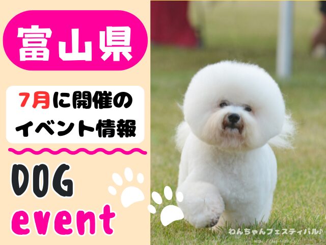 犬イベント 北陸地方 新潟県 富山県 石川県 福井県 2025年 7月