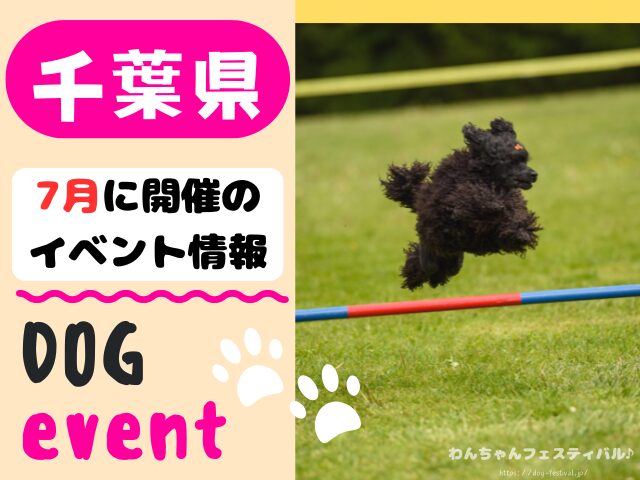 犬イベント 関東 東京 千葉 埼玉 神奈川 群馬 栃木 茨城 2025年 7月