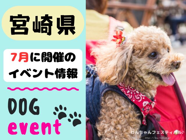 犬イベント 九州 福岡県 佐賀県 長崎県 熊本県 大分県 宮崎県 鹿児島県 2025年 7月