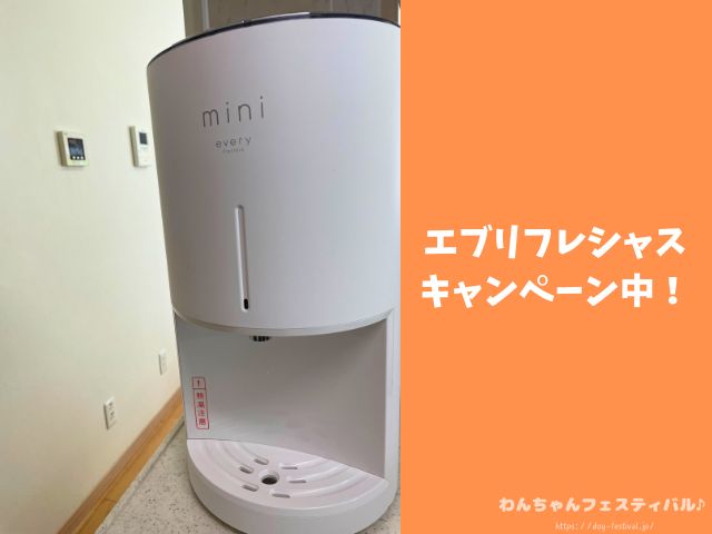 犬 おすすめ ウォーターサーバー 実際 与えてみた 感想 体質改善 レビュー エブリフレシャス