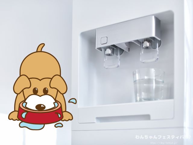 犬 おすすめ ウォーターサーバー 実際 与えてみた 感想 体質改善 レビュー エブリフレシャス