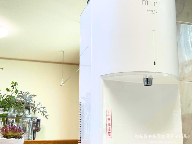 犬 おすすめ ウォーターサーバー 実際 与えてみた 感想 体質改善 レビュー エブリフレシャス