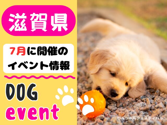関西　犬イベント　一覧　開催場所　日程　2025　7月　大阪府　京都府　兵庫県　奈良県　滋賀県　和歌山県