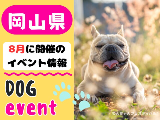 犬イベント　中国地方　岡山県　広島県　山口県　鳥取県　島根県　2025年　8月