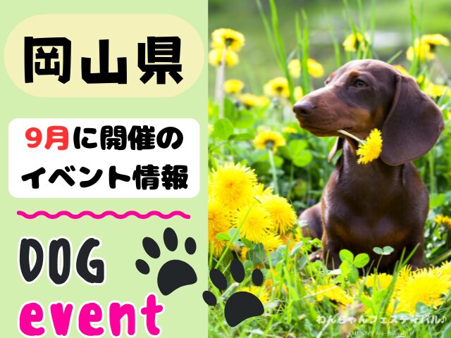 犬イベント 中国地方 岡山県 広島県 山口県 鳥取県 島根県 2025年 9月