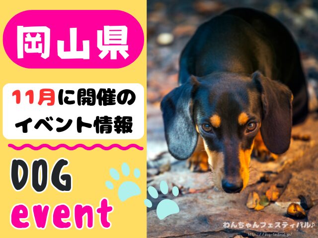 犬イベント　中国地方　岡山県　広島県　山口県　鳥取県　島根県　2025年　11月