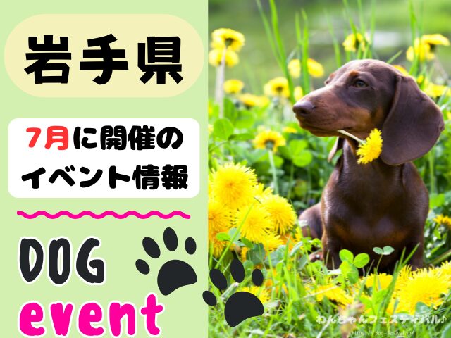 犬イベント 東北地方 青森県 岩手県 秋田県 宮城県 山形県 福島県 2025年 7月