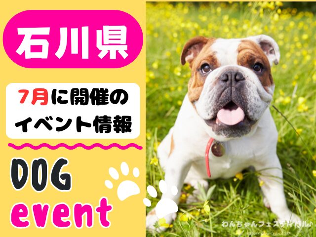 犬イベント 北陸地方 新潟県 富山県 石川県 福井県 2025年 7月
