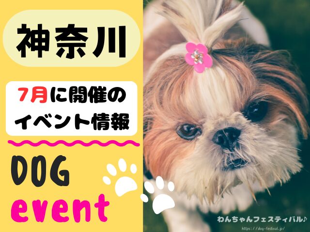 犬イベント 関東 東京 千葉 埼玉 神奈川 群馬 栃木 茨城 2025年 7月