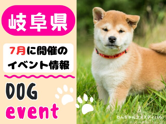 犬イベント 東海地区 静岡県 愛知県 三重県 岐阜県 山梨県 2025年 7月
