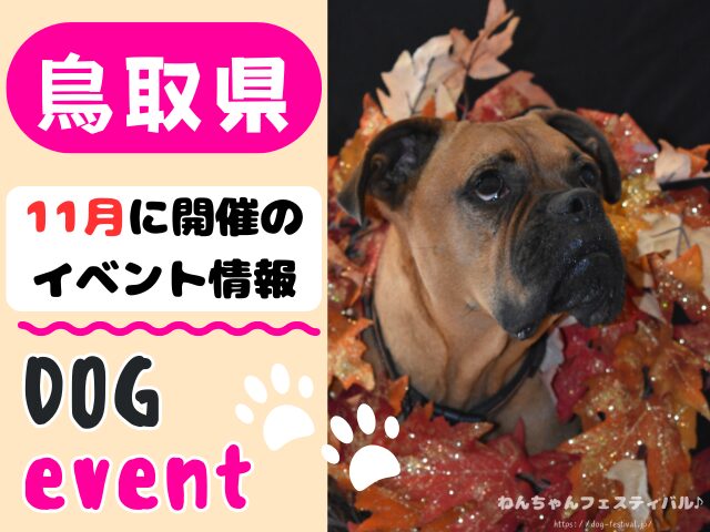 犬イベント　中国地方　岡山県　広島県　山口県　鳥取県　島根県　2025年　11月