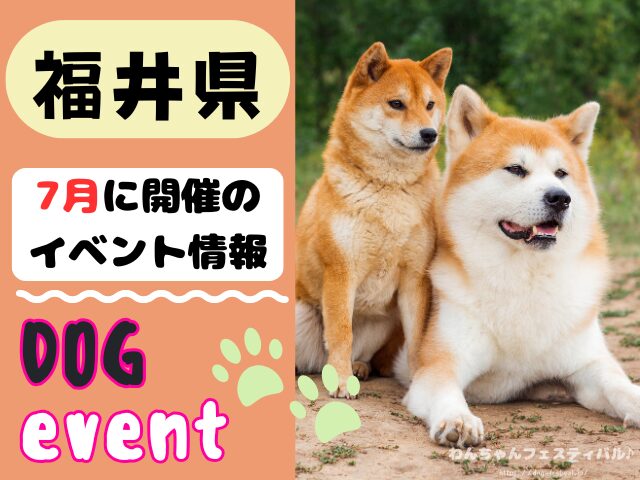 犬イベント 北陸地方 新潟県 富山県 石川県 福井県 2025年 7月