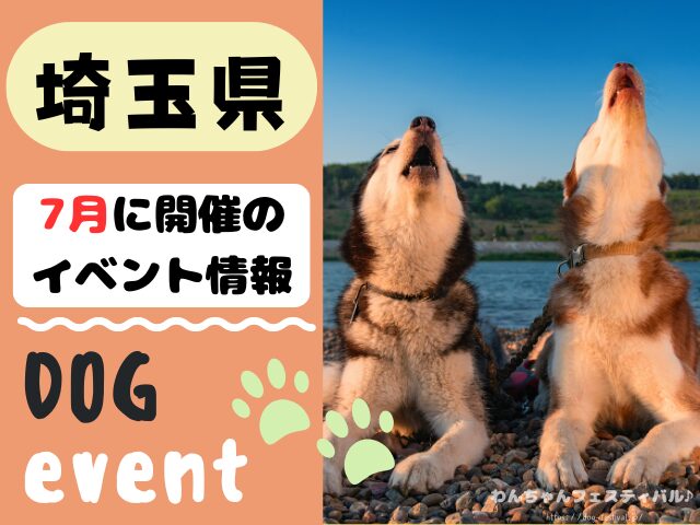 犬イベント 関東 東京 千葉 埼玉 神奈川 群馬 栃木 茨城 2025年 7月