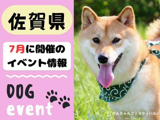 犬イベント 九州 福岡県 佐賀県 長崎県 熊本県 大分県 宮崎県 鹿児島県 2025年 7月