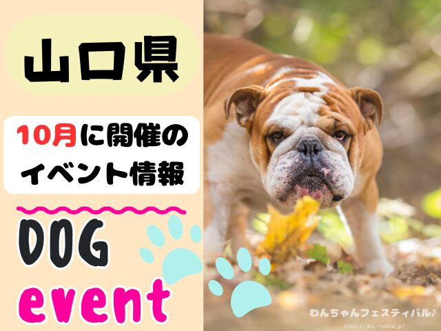 犬イベント　中国地方　岡山県　広島県　山口県　鳥取県　島根県　2025年　10月