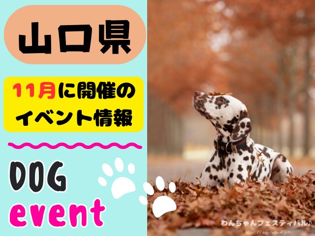 犬イベント　中国地方　岡山県　広島県　山口県　鳥取県　島根県　2025年　11月