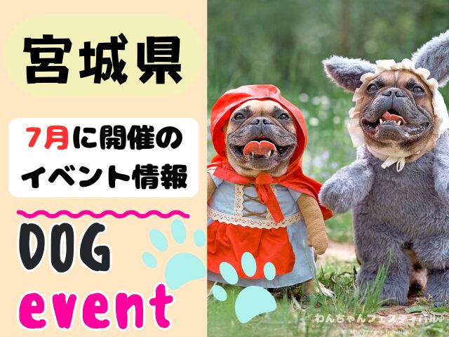 犬イベント 東北地方 青森県 岩手県 秋田県 宮城県 山形県 福島県 2025年 7月