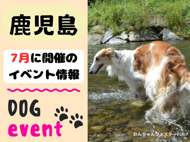 犬イベント 九州 福岡県 佐賀県 長崎県 熊本県 大分県 宮崎県 鹿児島県 2025年 7月