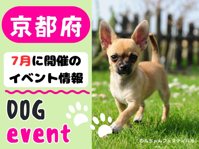 関西　犬イベント　一覧　開催場所　日程　2025　6月　大阪府　京都府　兵庫県　奈良県　滋賀県　和歌山県