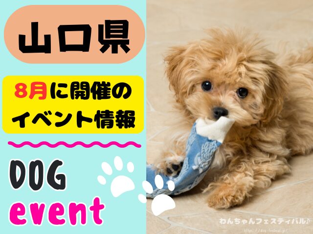 犬イベント　中国地方　岡山県　広島県　山口県　鳥取県　島根県　2025年　8月
