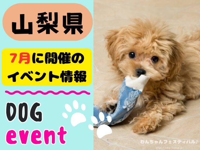 犬イベント 東海地区 静岡県 愛知県 三重県 岐阜県 山梨県 2025年 7月