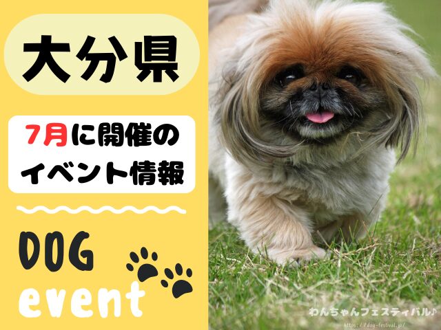 犬イベント 九州 福岡県 佐賀県 長崎県 熊本県 大分県 宮崎県 鹿児島県 2025年 7月