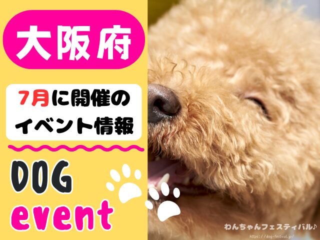 関西　犬イベント　一覧　開催場所　日程　2025　6月　大阪府　京都府　兵庫県　奈良県　滋賀県　和歌山県