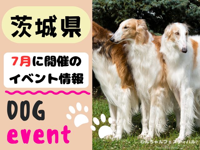 犬イベント 関東 東京 千葉 埼玉 神奈川 群馬 栃木 茨城 2025年 7月