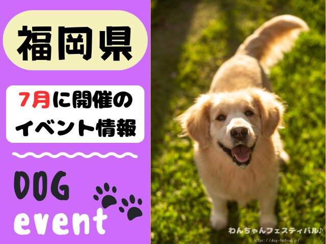 犬イベント 九州 福岡県 佐賀県 長崎県 熊本県 大分県 宮崎県 鹿児島県 2025年 7月