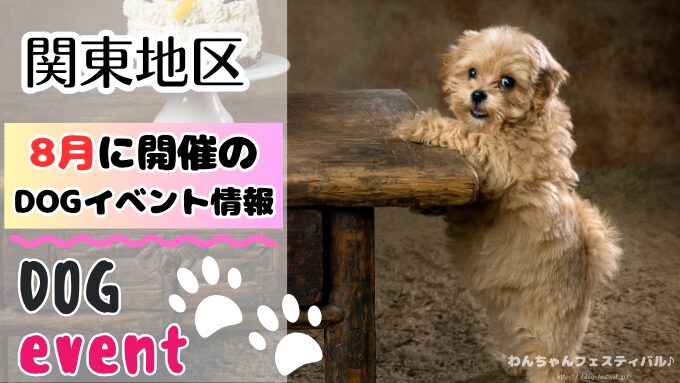 犬イベント　関東　東京　千葉　埼玉　神奈川　群馬　栃木　茨城　2025年　8月