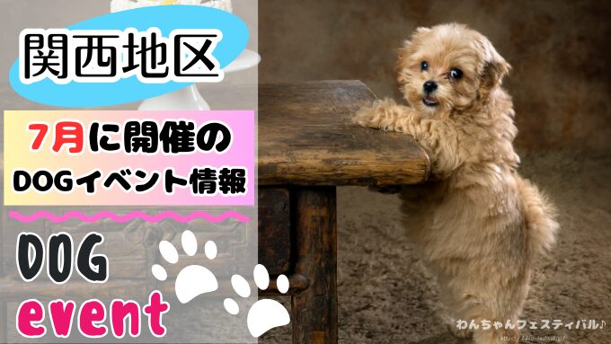 関西　犬イベント　一覧　開催場所　日程　2025　7月　大阪府　京都府　兵庫県　奈良県　滋賀県　和歌山県