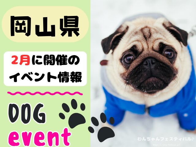犬イベント　中国地方　岡山県　広島県　山口県　鳥取県　島根県　2026年　2月