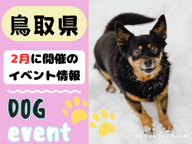 犬イベント　中国地方　岡山県　広島県　山口県　鳥取県　島根県　2026年　2月