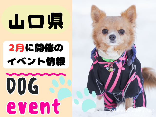 犬イベント　中国地方　岡山県　広島県　山口県　鳥取県　島根県　2026年　2月