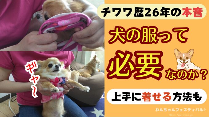 犬が服を嫌がる　理由　好きにさせる方法　適したサイズ　選び方