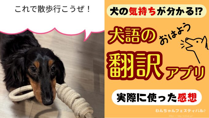 犬語　翻訳　アプリ　感想　使い方